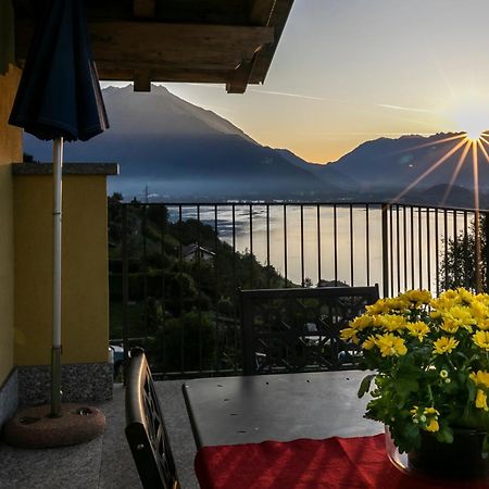 La Collina Degli Ulivi Διαμέρισμα Vercana Εξωτερικό φωτογραφία