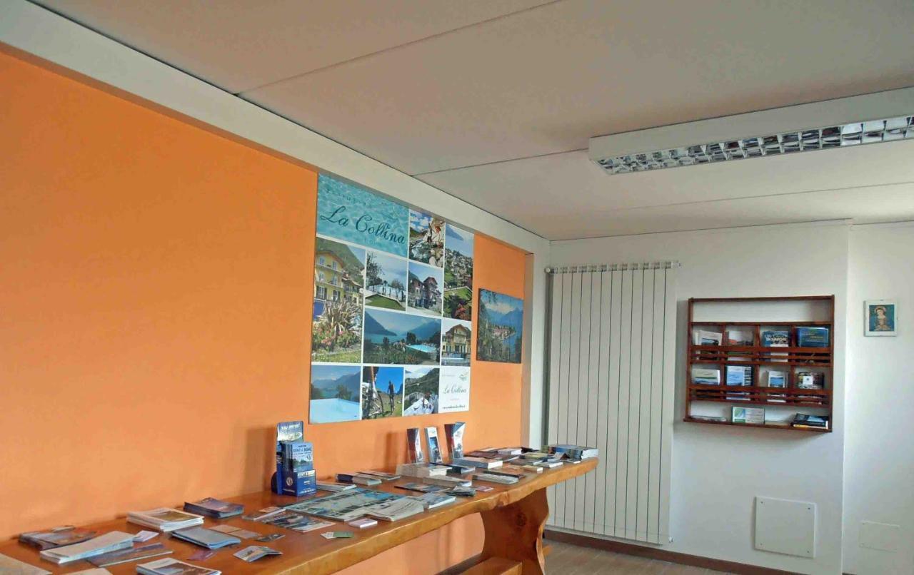 La Collina Degli Ulivi Διαμέρισμα Vercana Εξωτερικό φωτογραφία